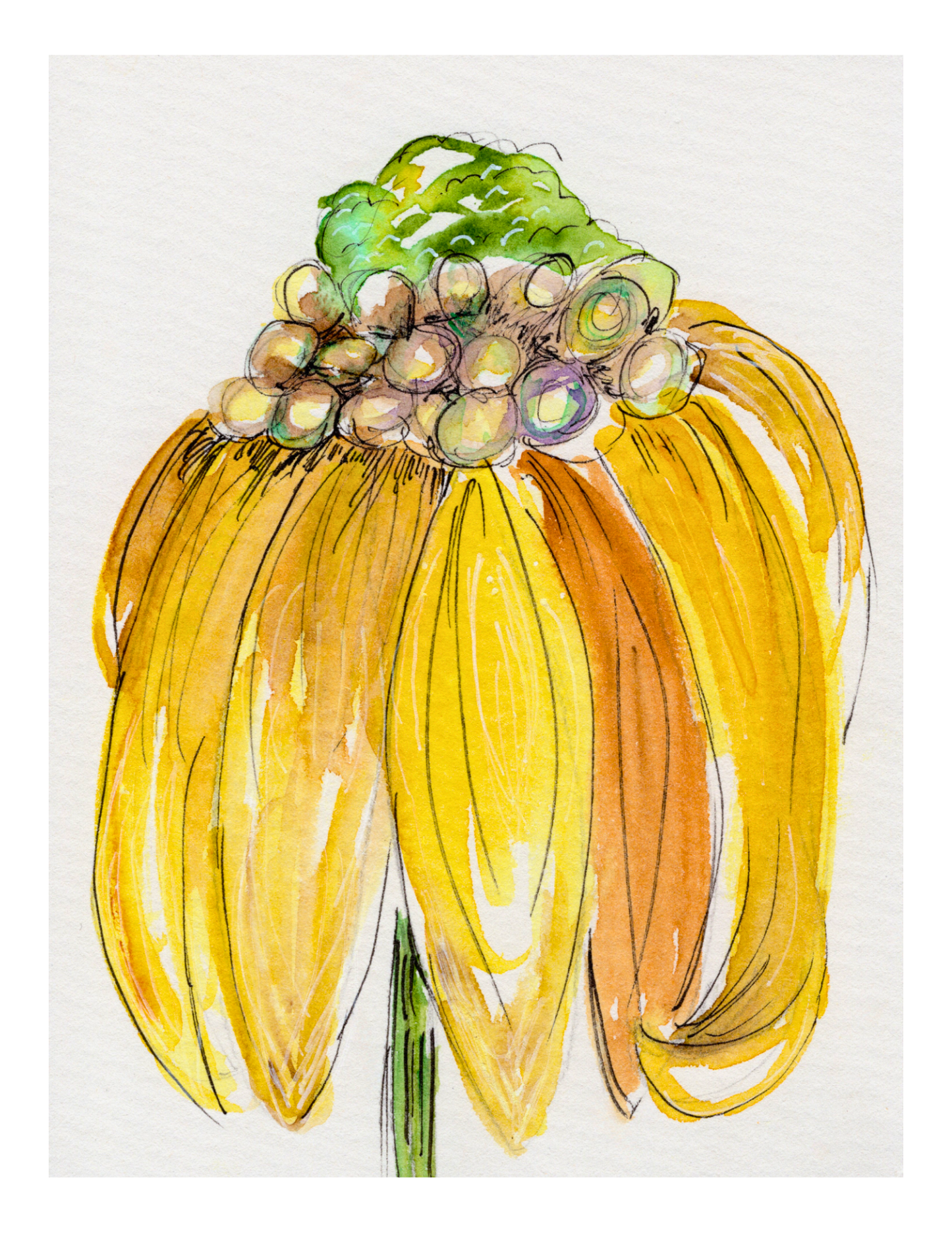 Watercolor Print Wildflower