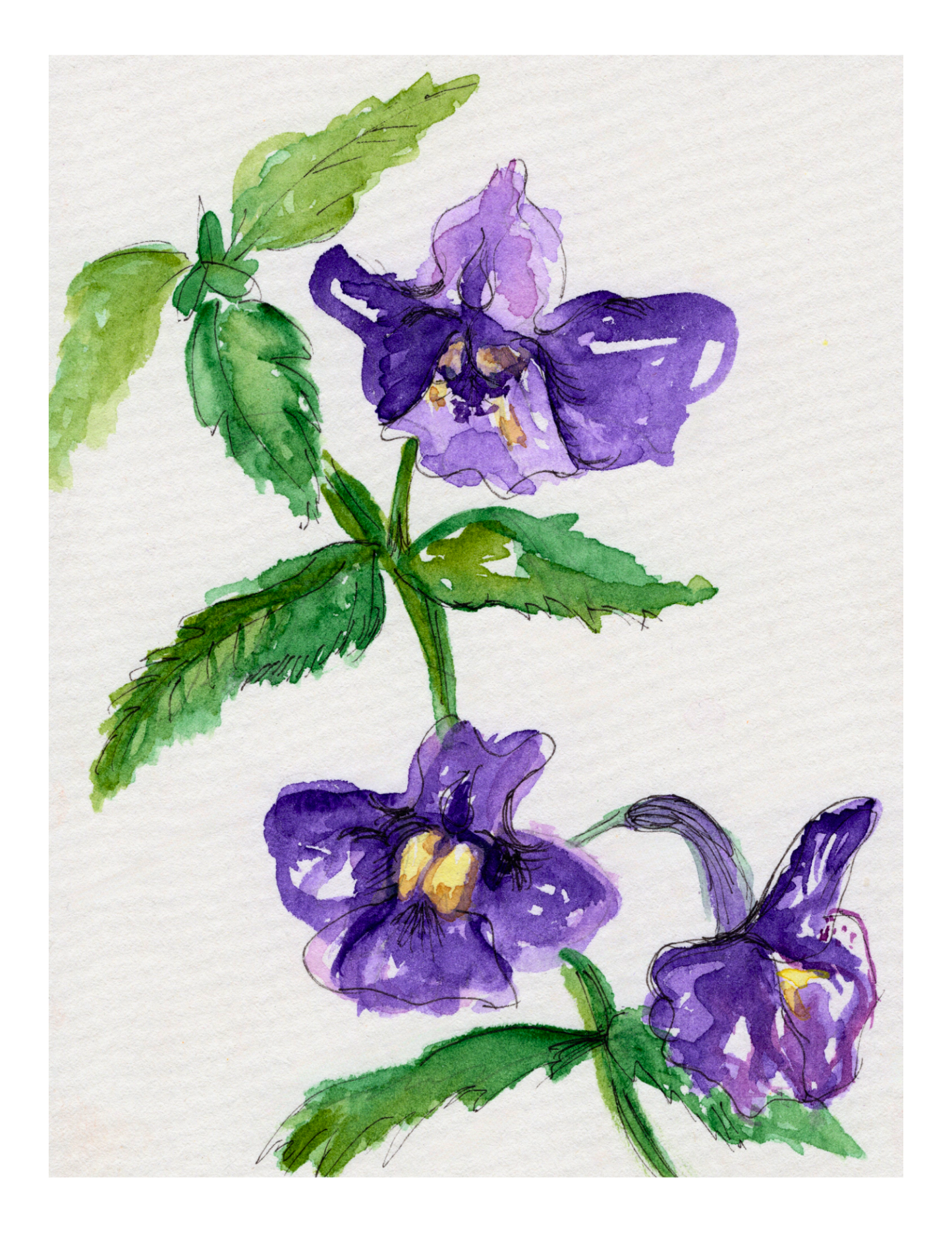 Watercolor Print Wildflower