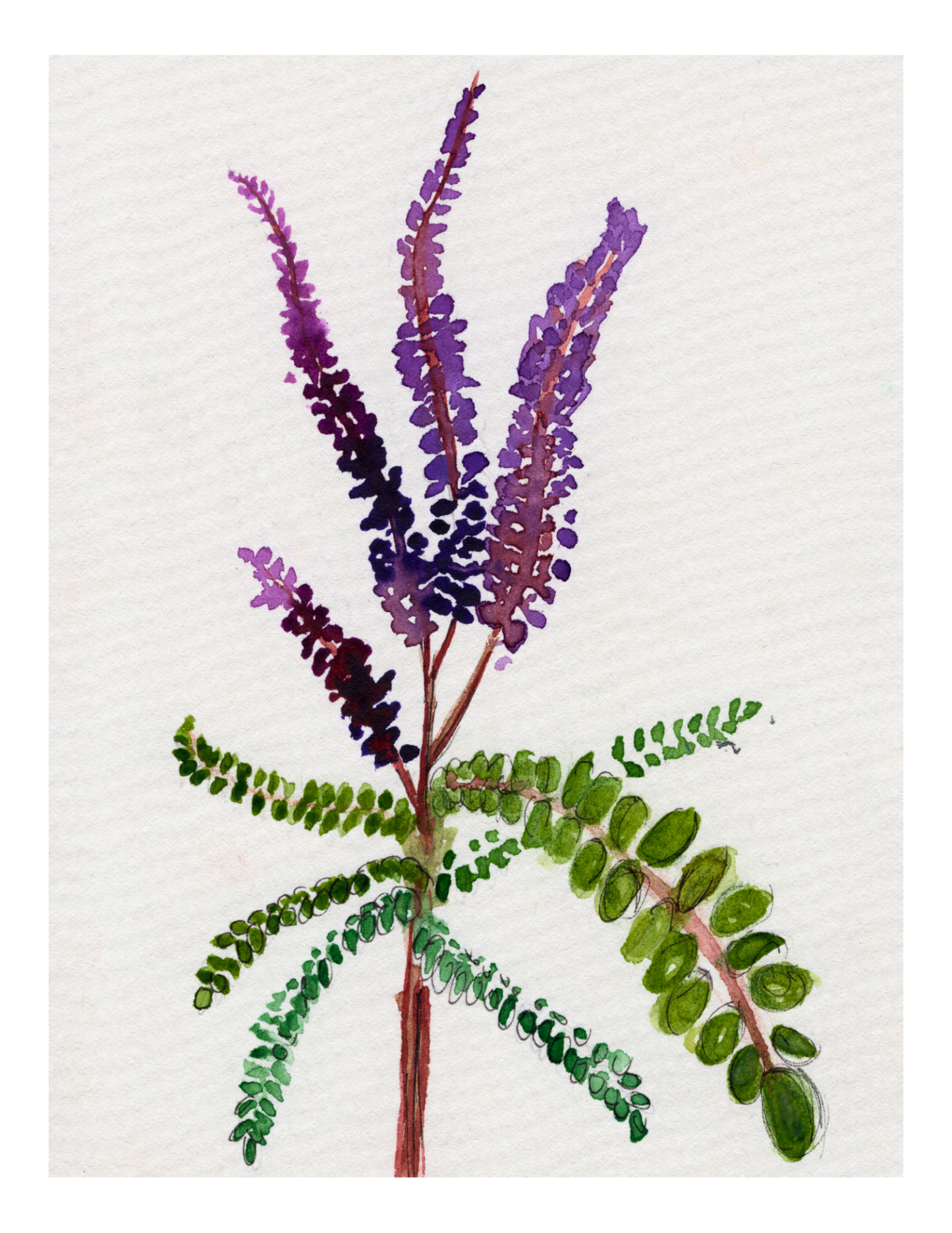 Watercolor Print Wildflower