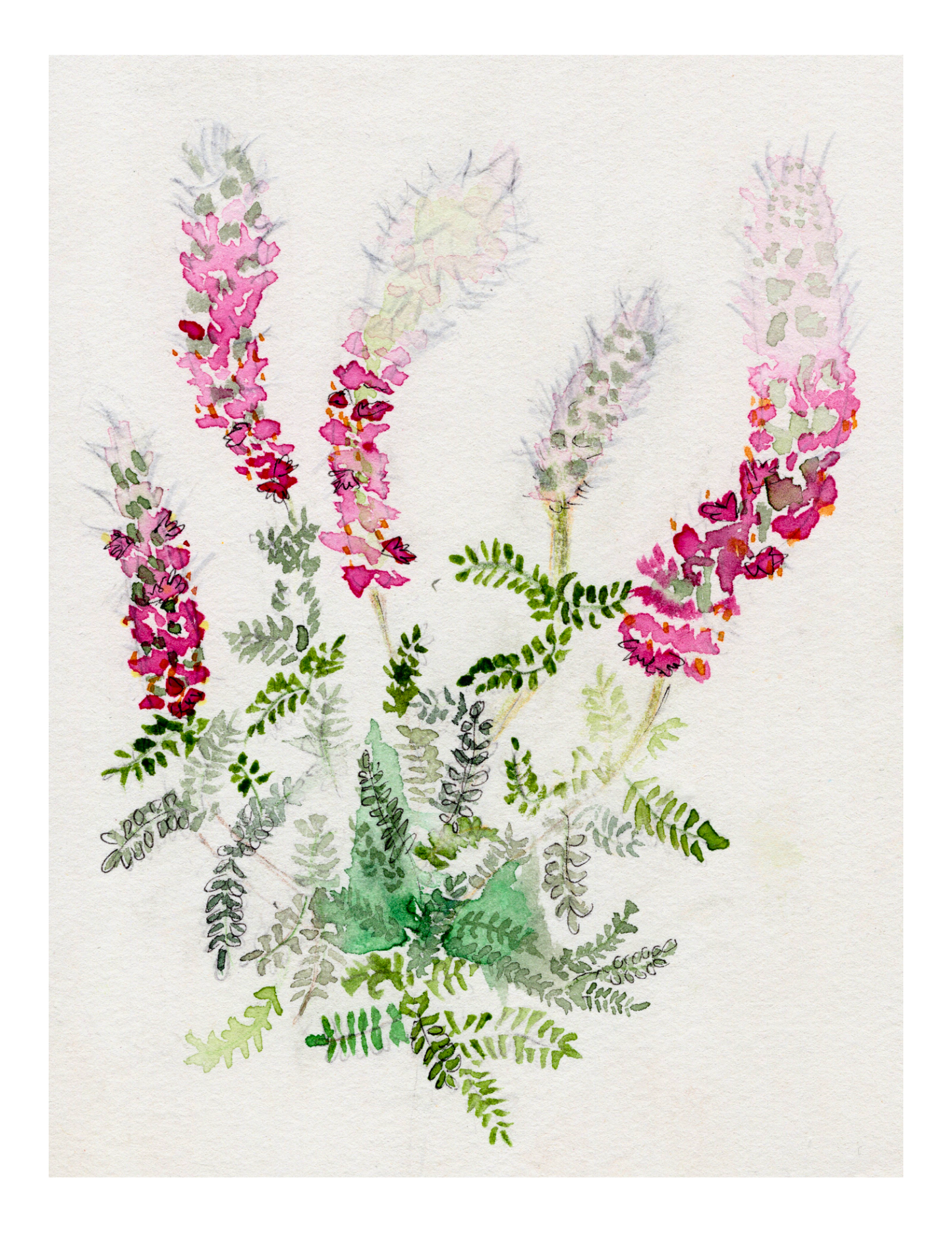 Watercolor Print Wildflower