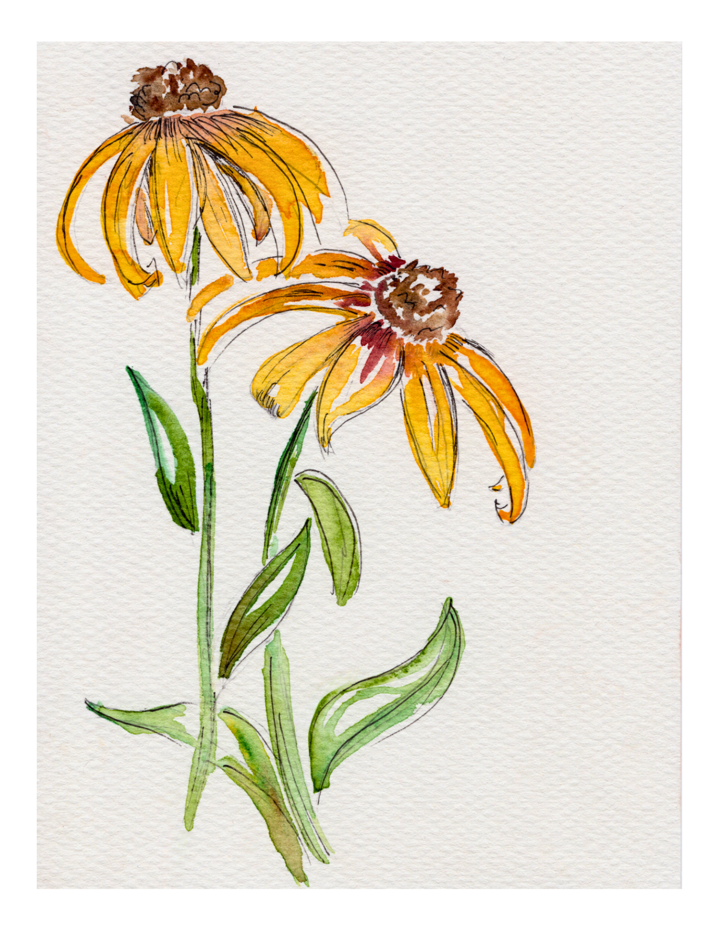 Watercolor Print Wildflower