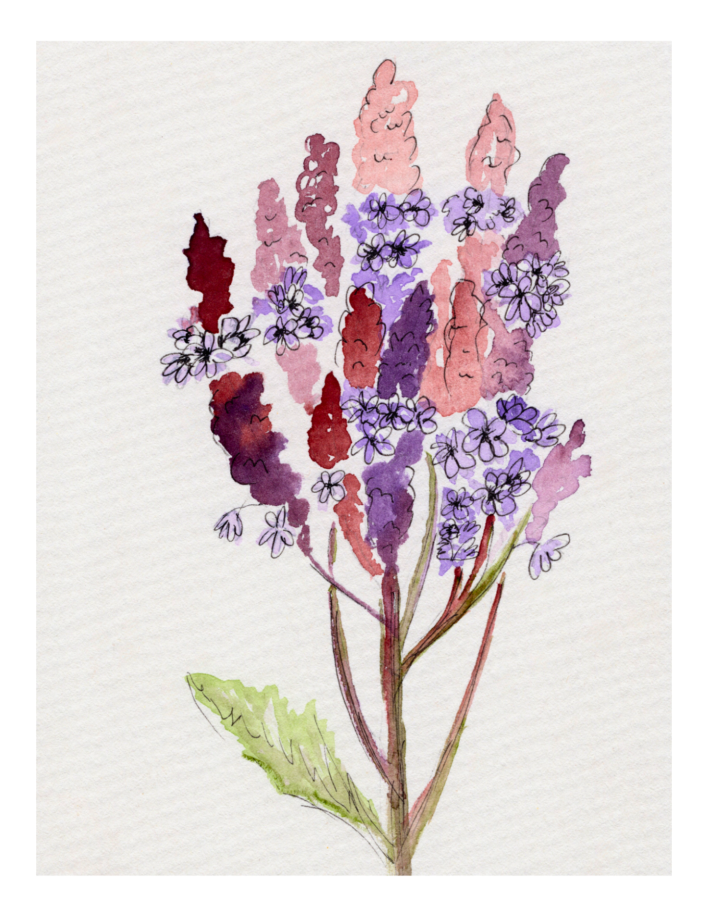 Watercolor Print Wildflower