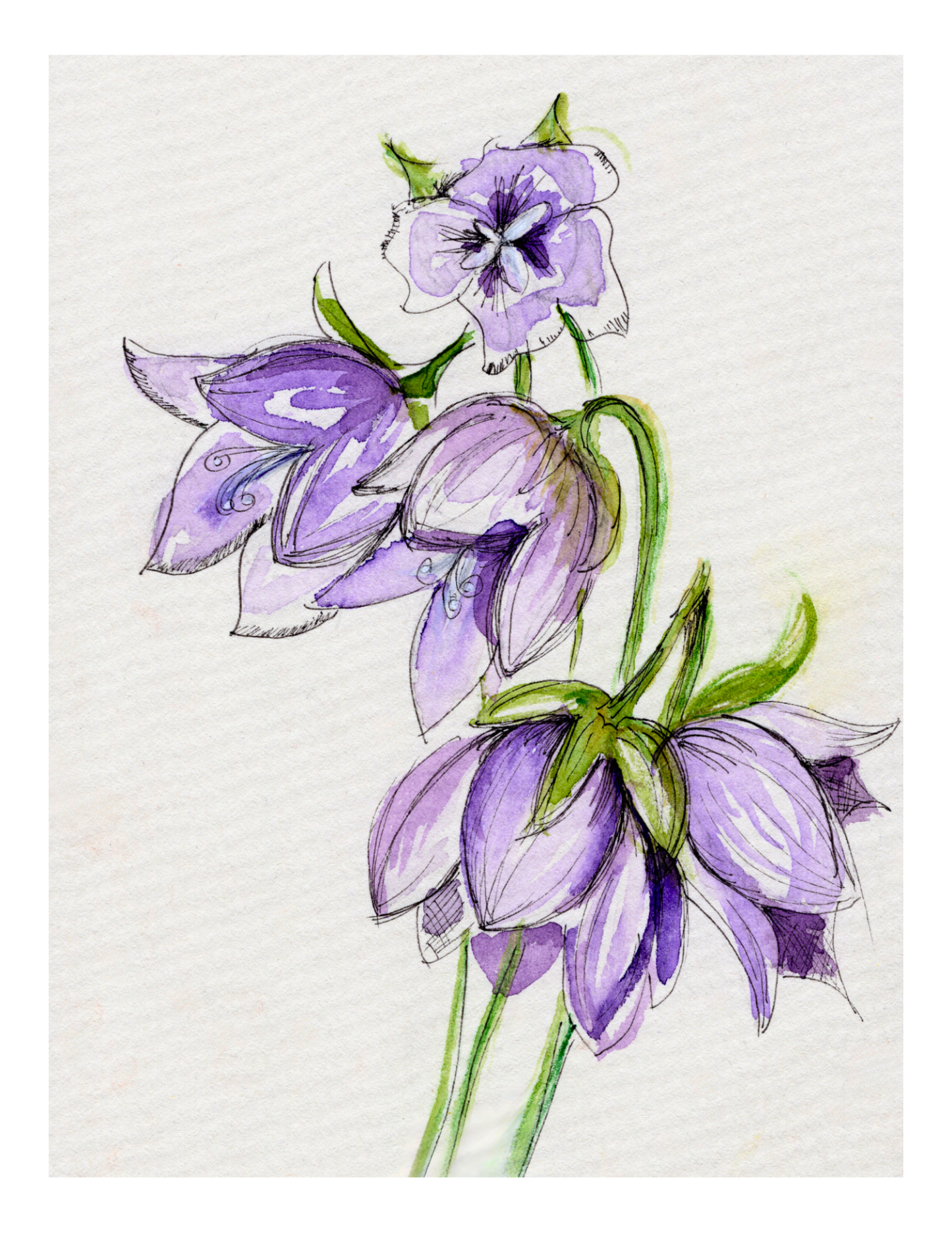 Watercolor Print Wildflower