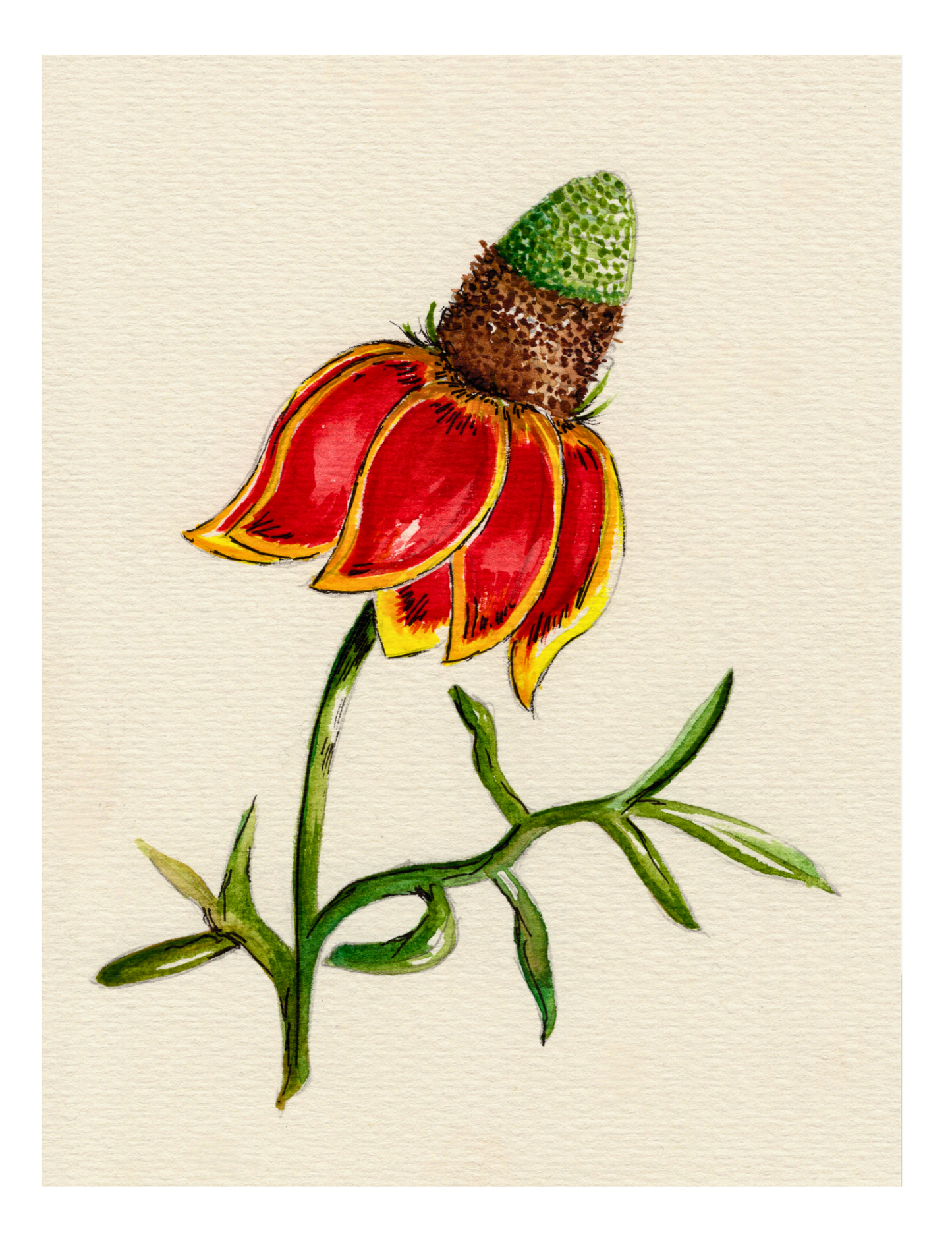 Watercolor Print Wildflower