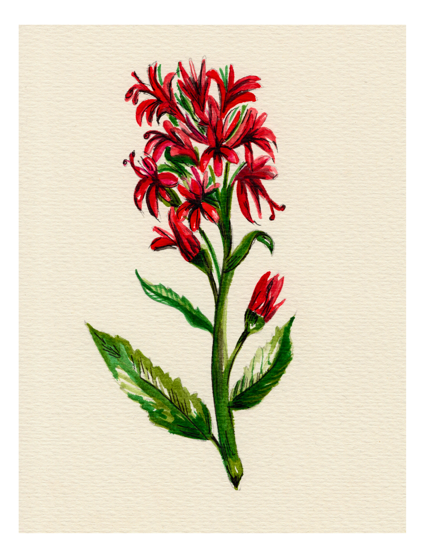 Watercolor Print Wildflower
