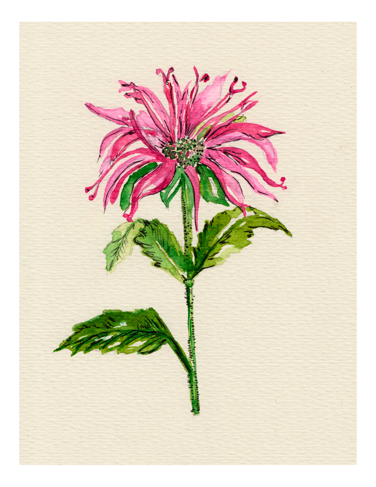 Watercolor Print Wildflower