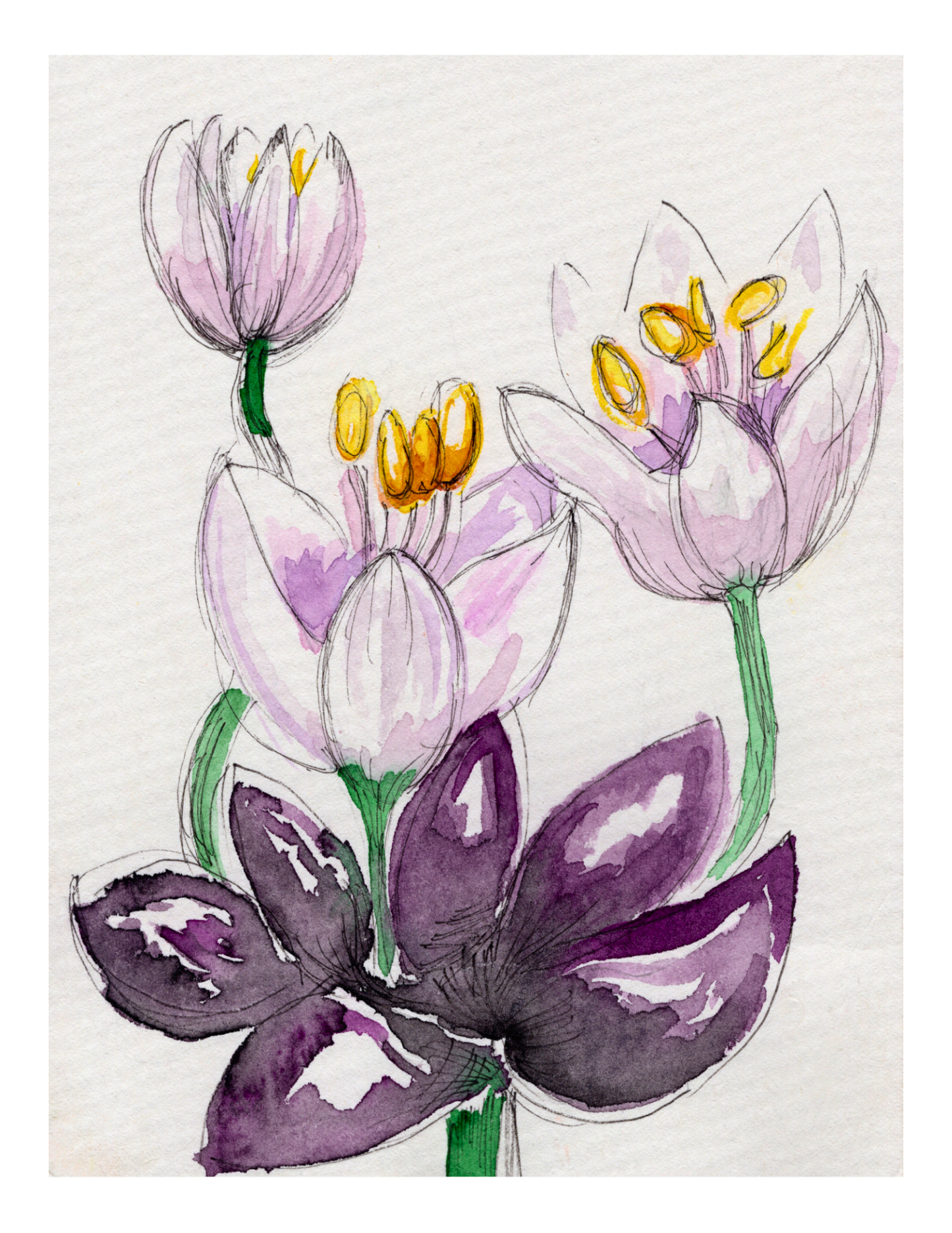 Watercolor Print Wildflower