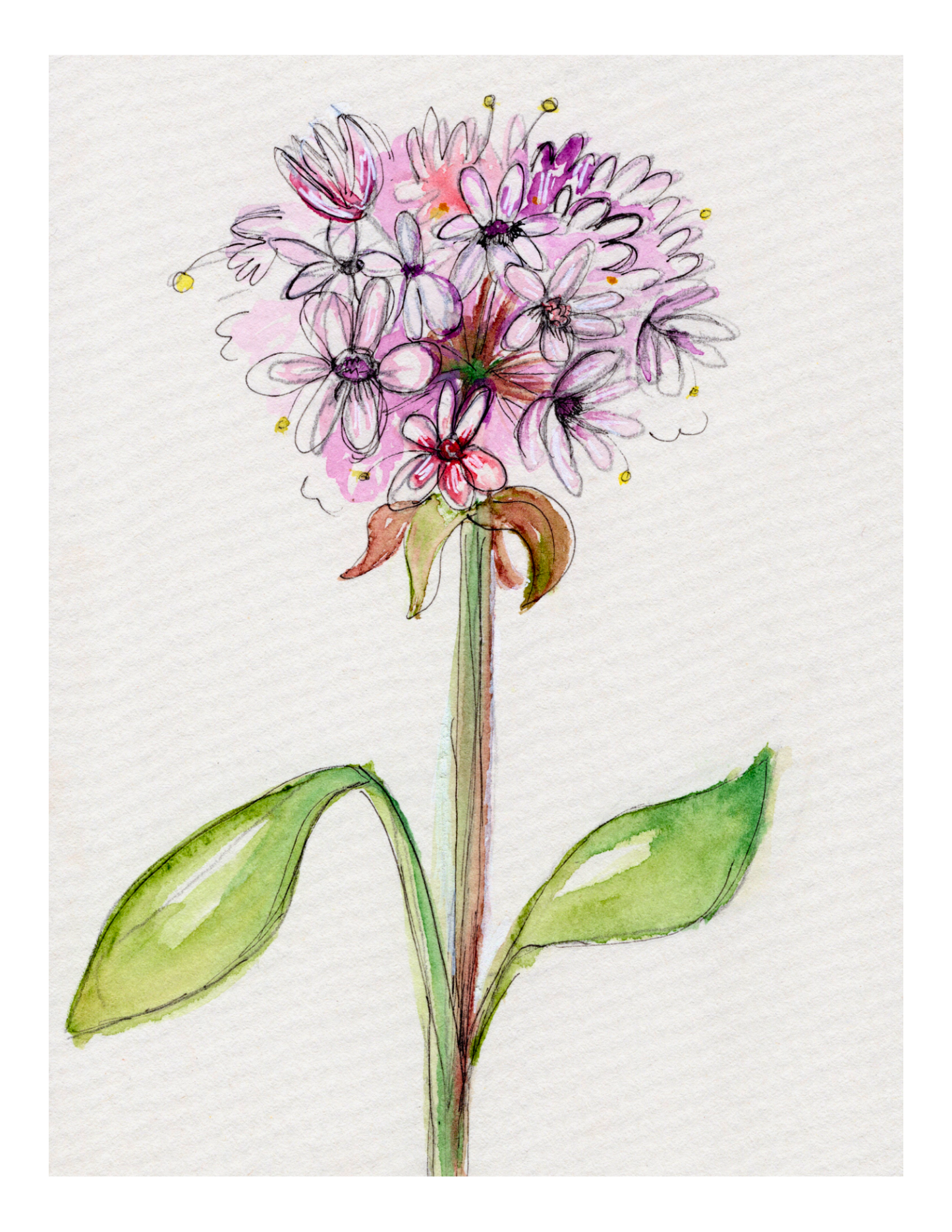 Watercolor Print Wildflower