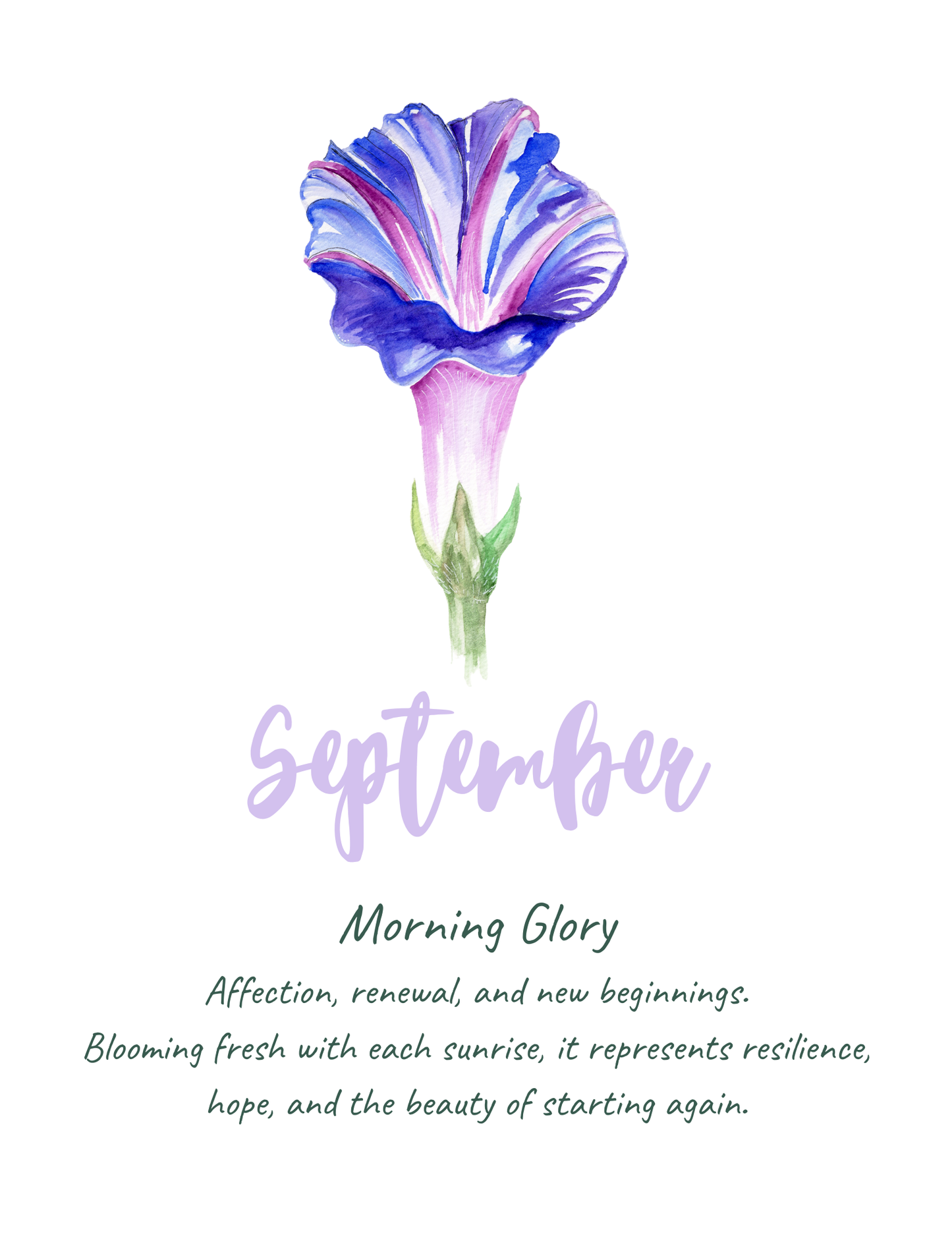 Flower meaning cards