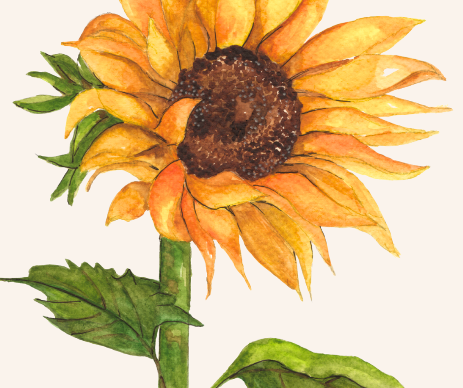 Sunflower Botanical Greeting Card