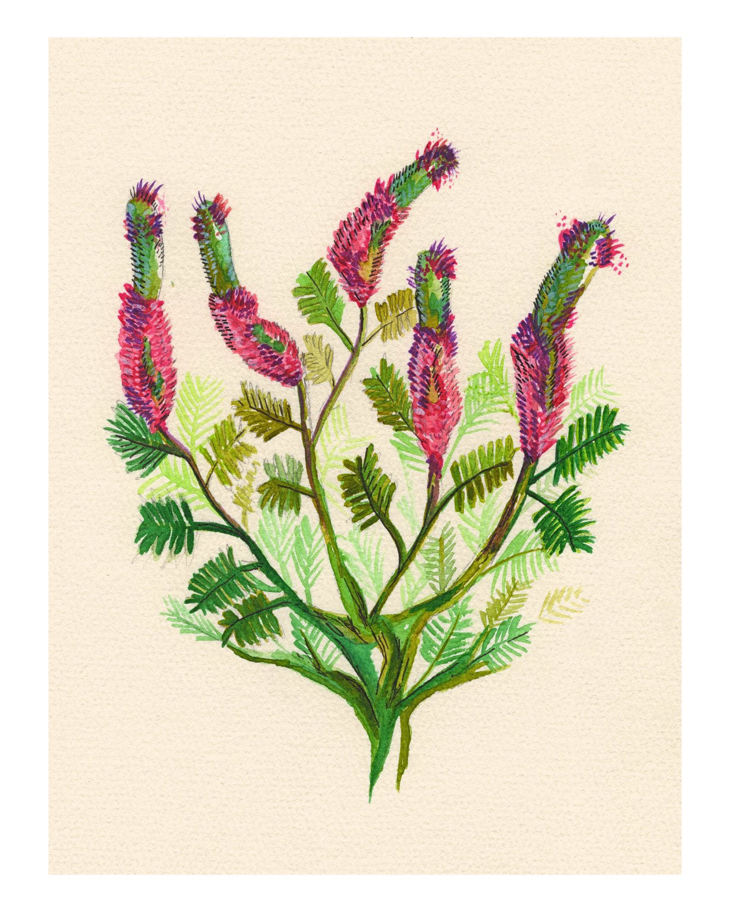 Watercolor Print Wildflower