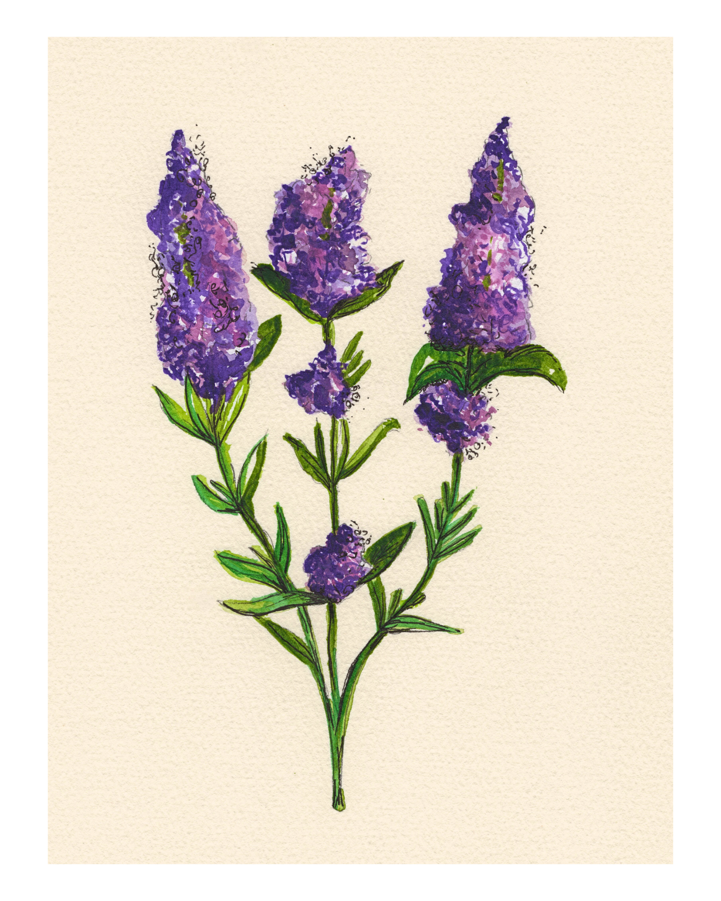 Watercolor Print Wildflower