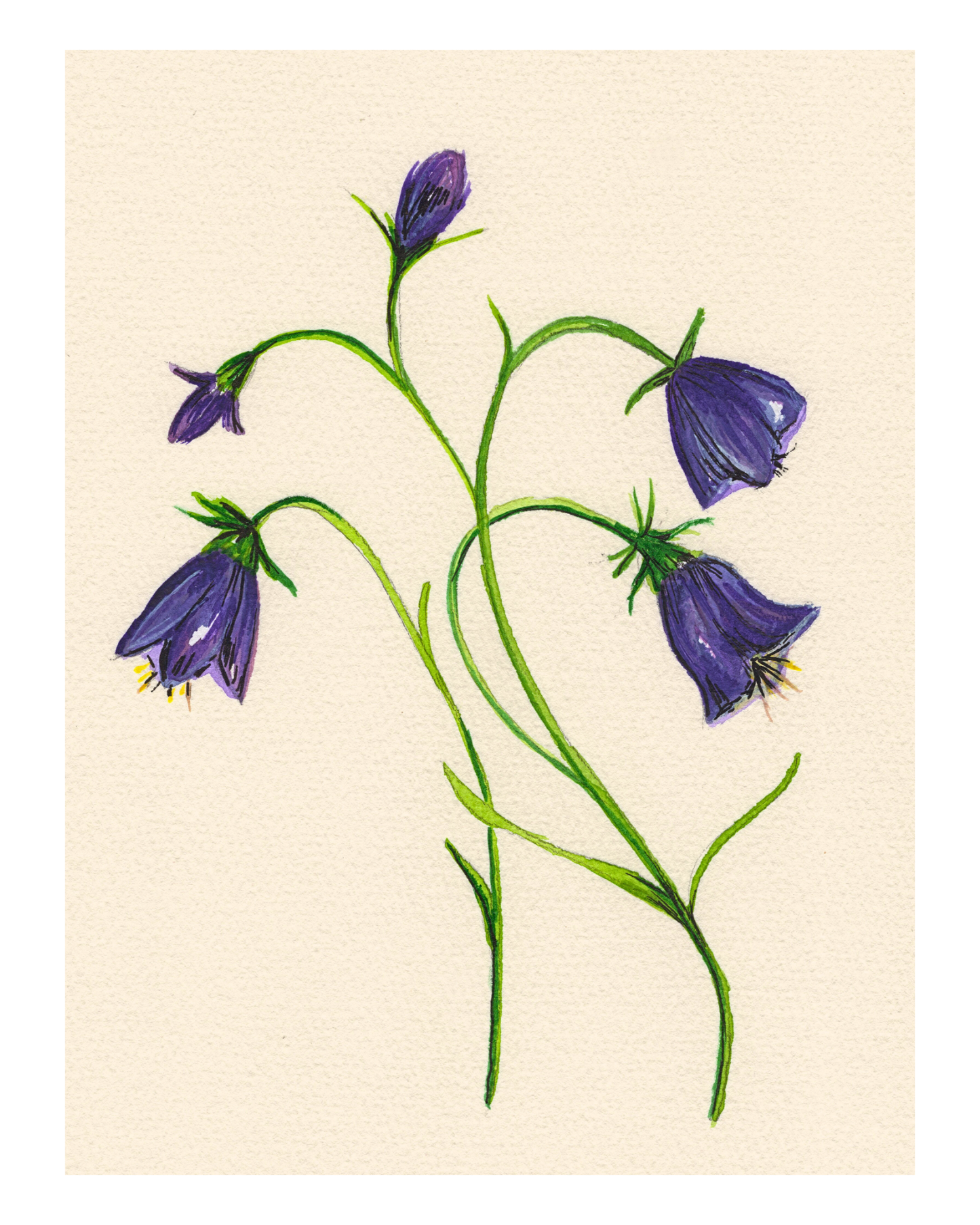 Watercolor Print Wildflower