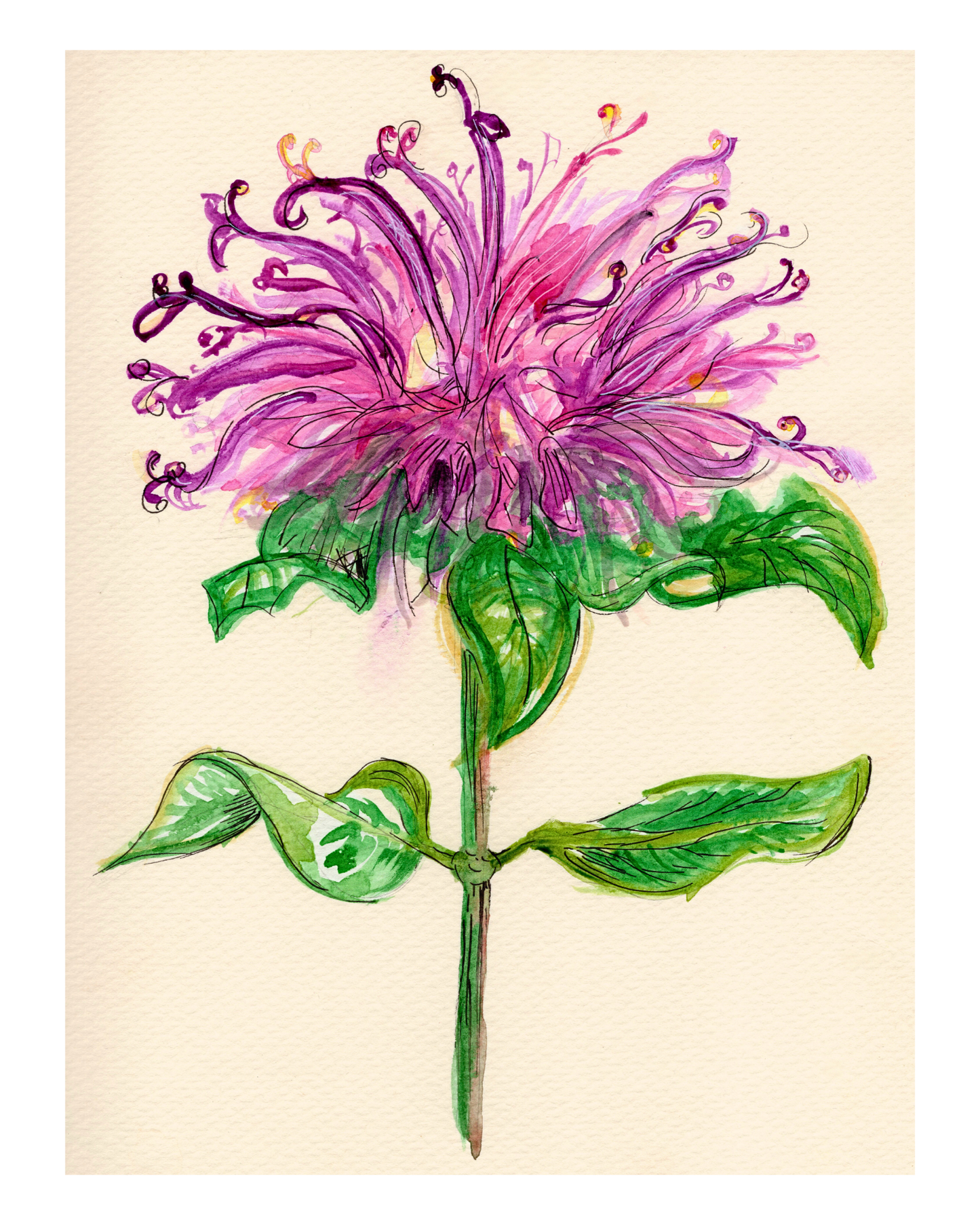 Watercolor Print Wildflower