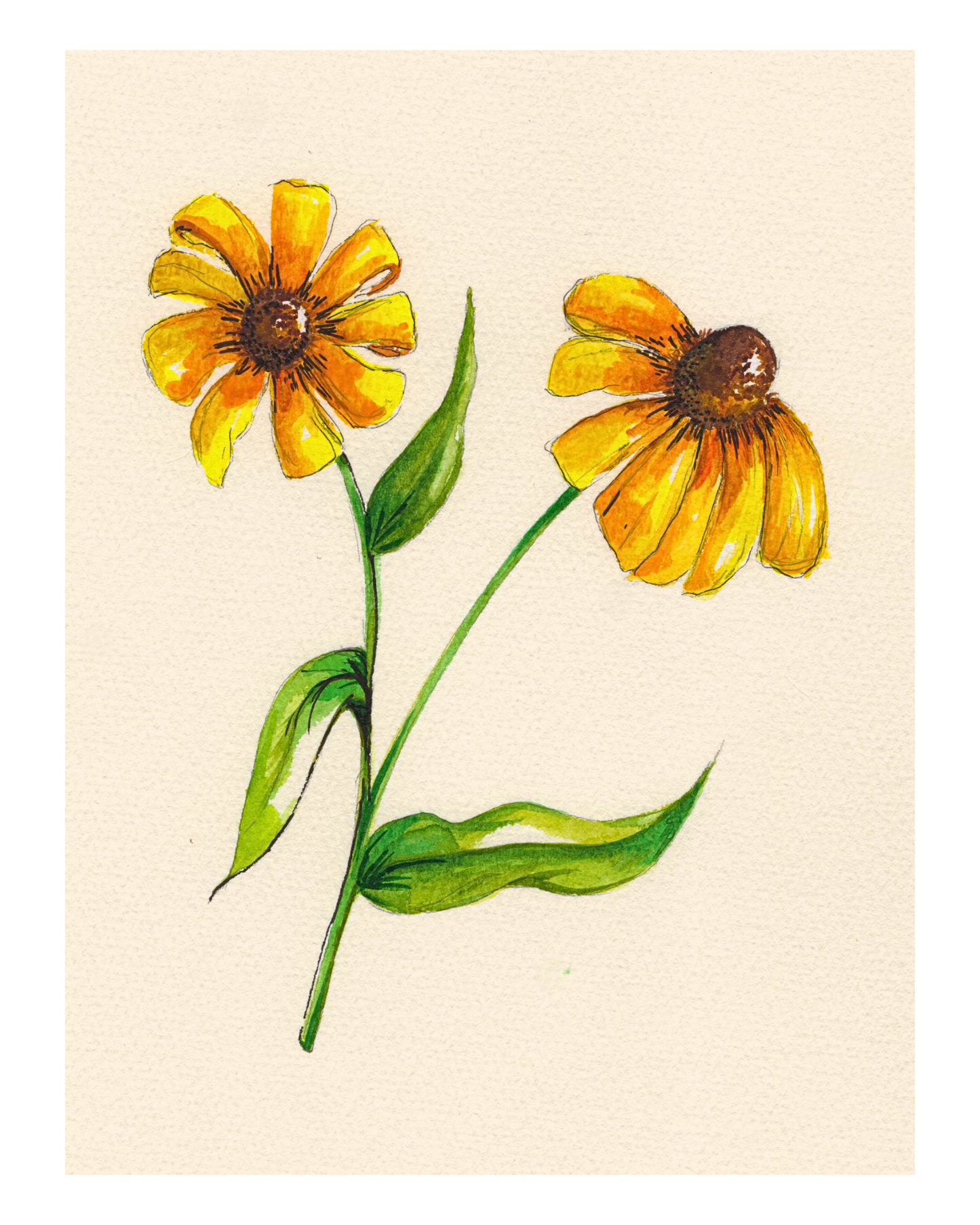 Watercolor Print Wildflower