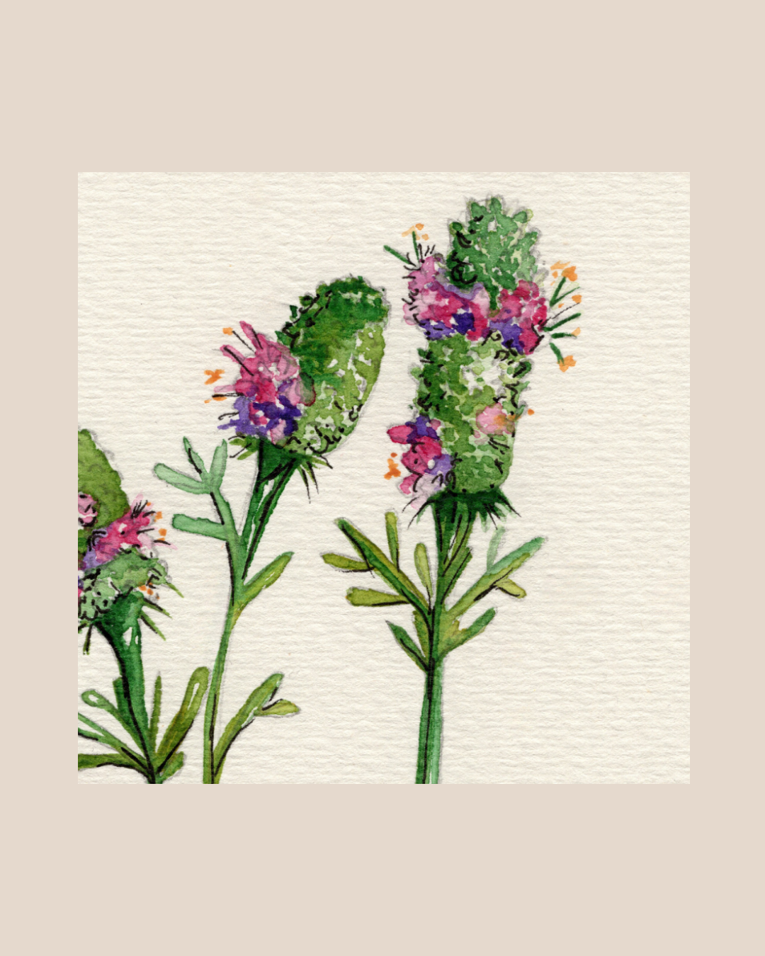 Watercolor Print Wildflower