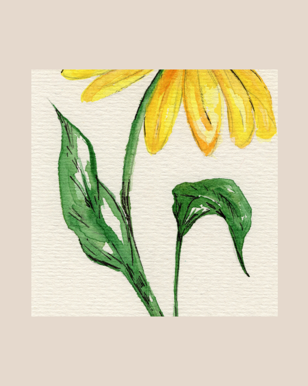 Watercolor Print Wildflower