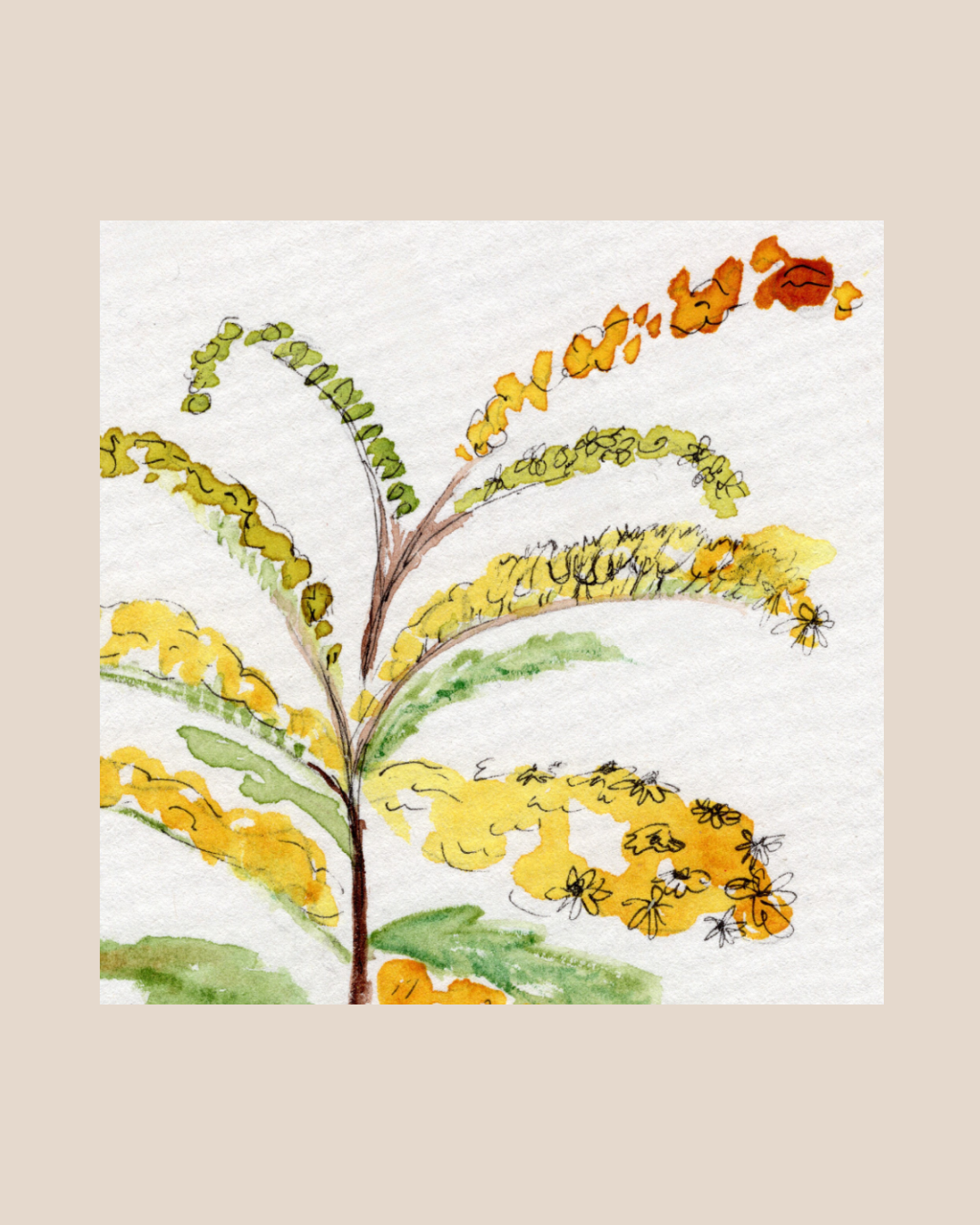 Watercolor Print Wildflower