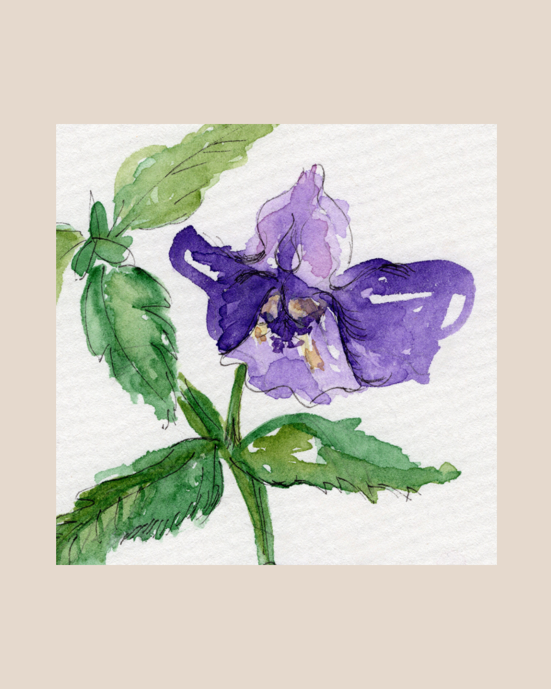 Watercolor Print Wildflower
