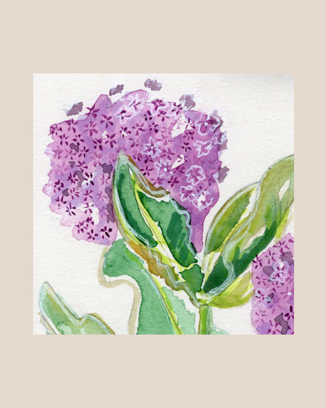 Watercolor Print Wildflower