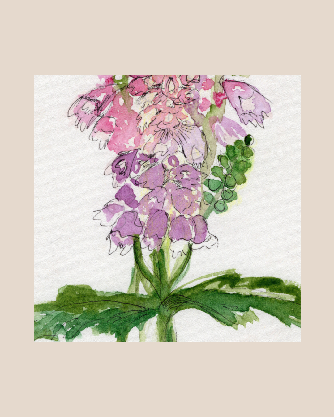 Watercolor Print Wildflower