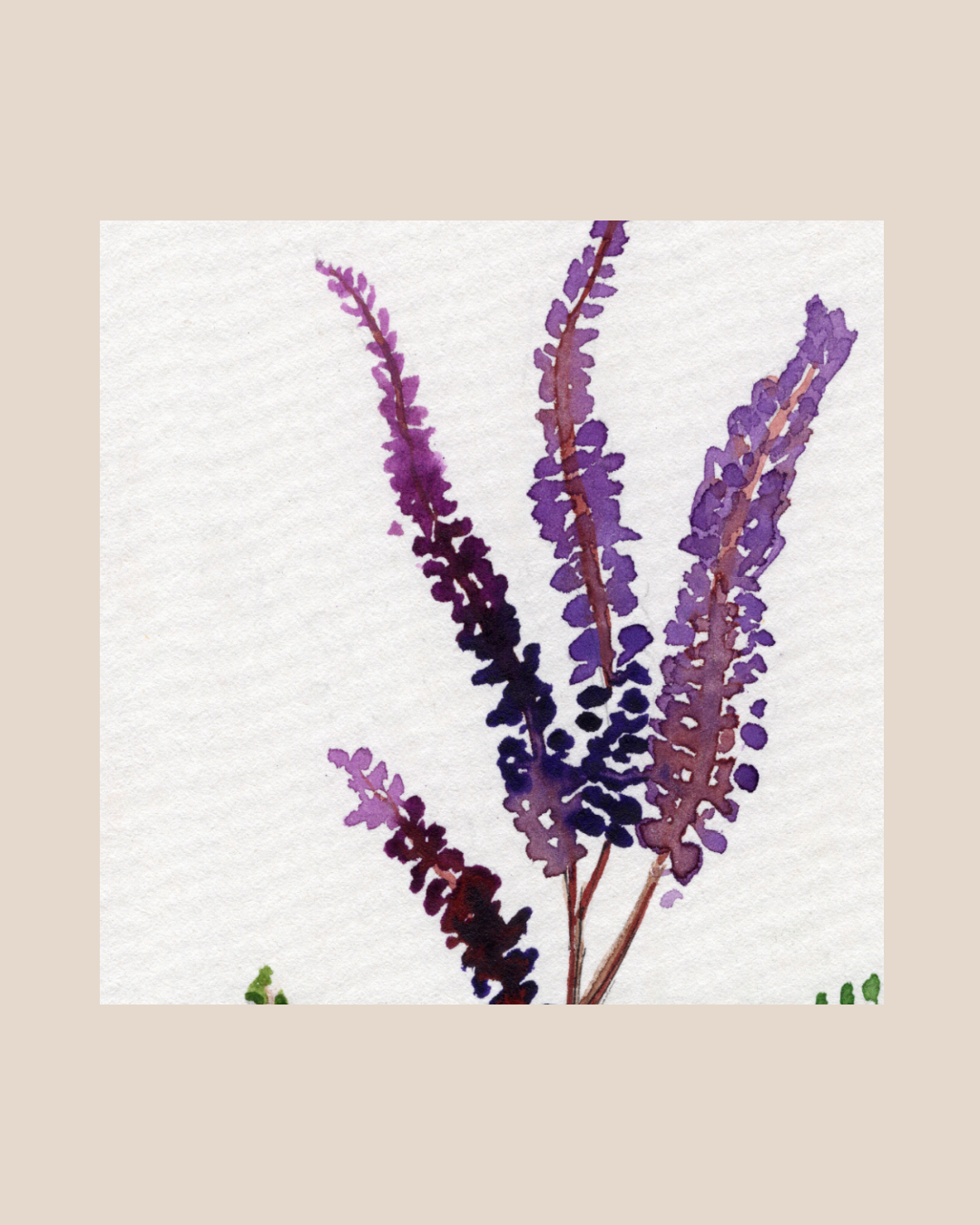 Watercolor Print Wildflower