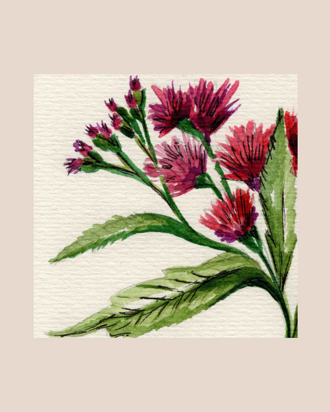 Watercolor Print Wildflower