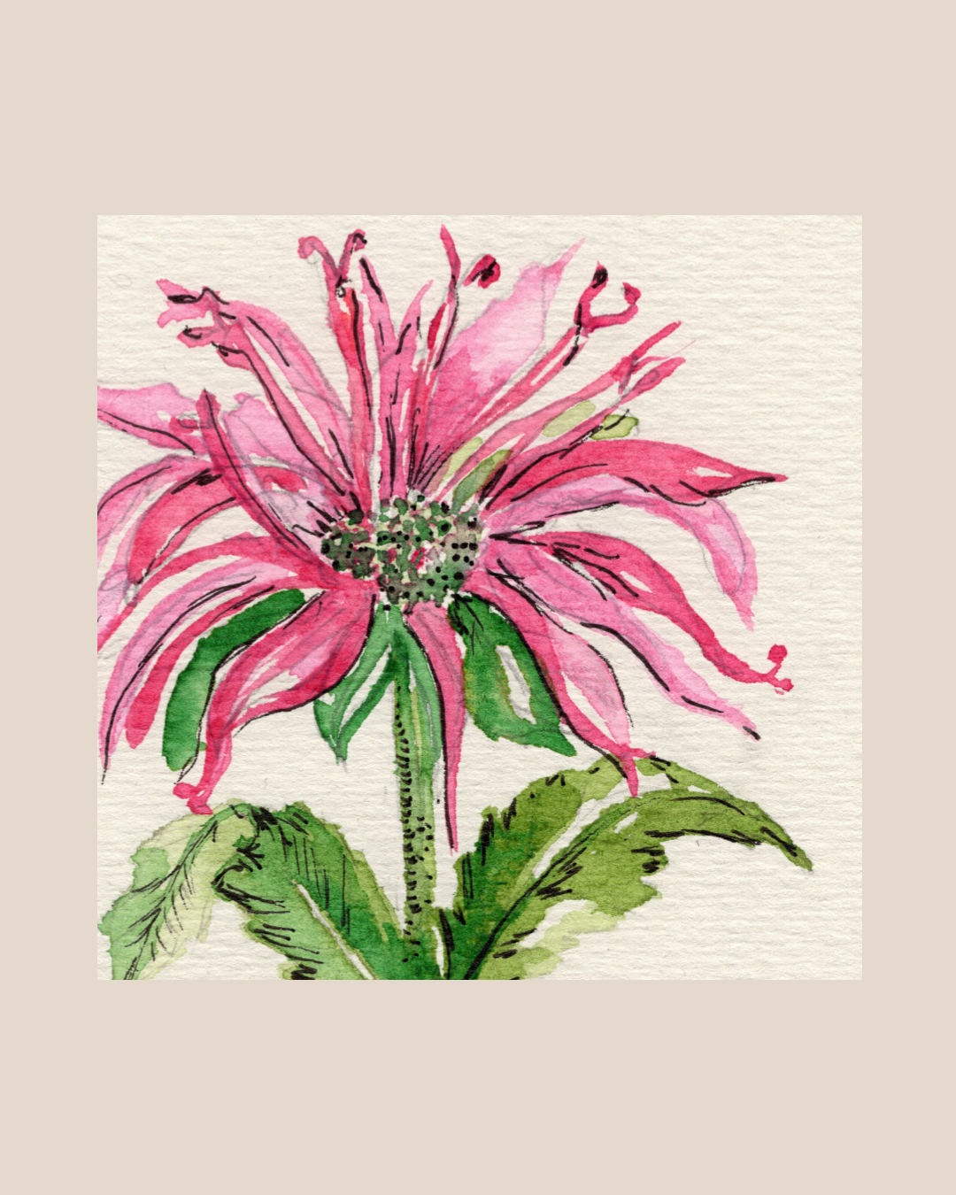 Watercolor Print Wildflower