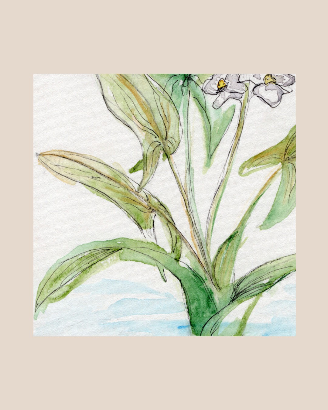 Watercolor Print Wildflower