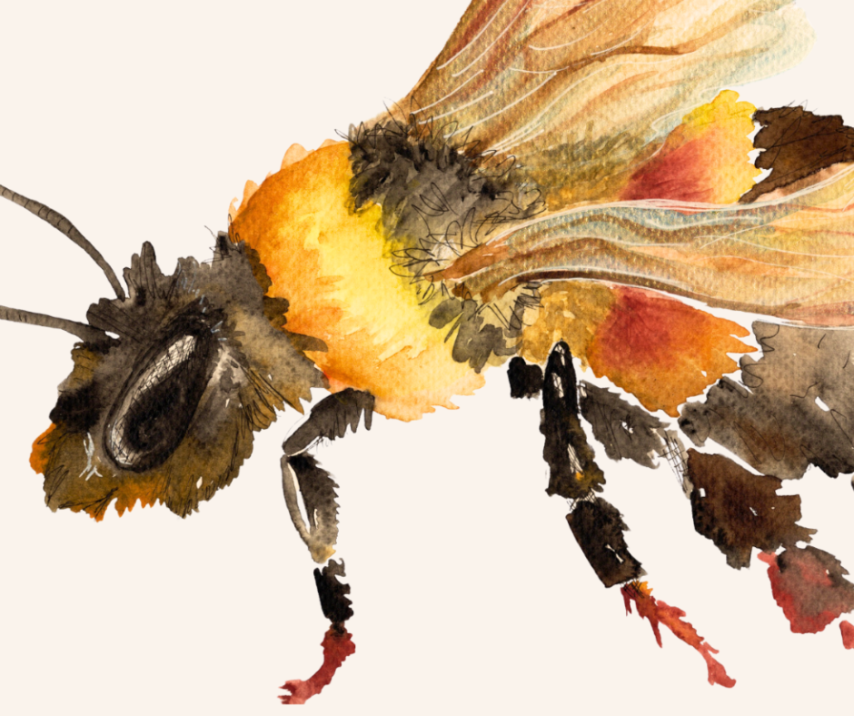 Bumblebee Greeting Card