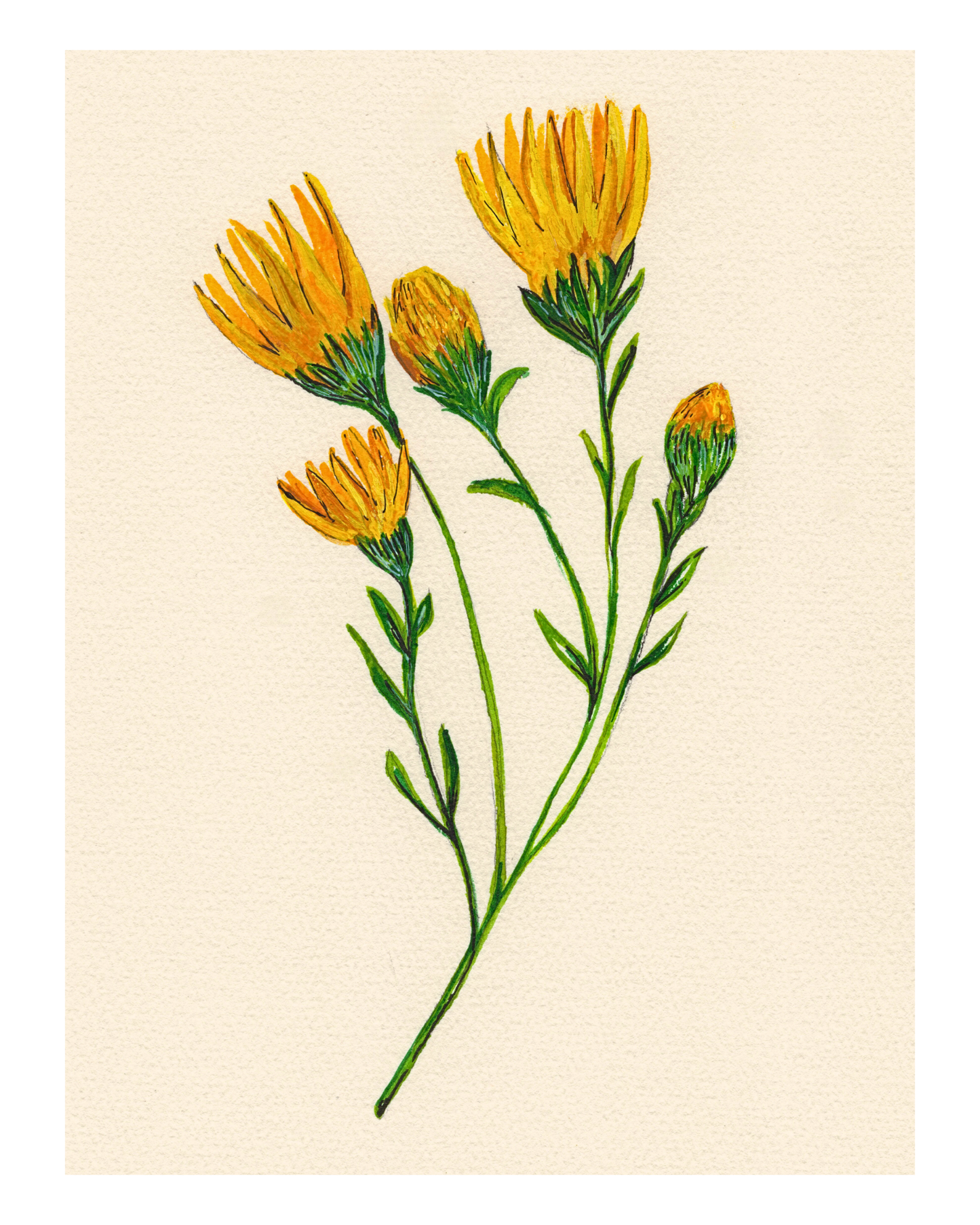 Watercolor Print Wildflower
