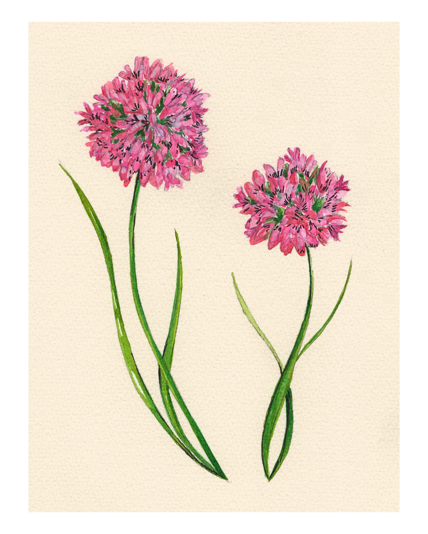 Watercolor Print Wildflower