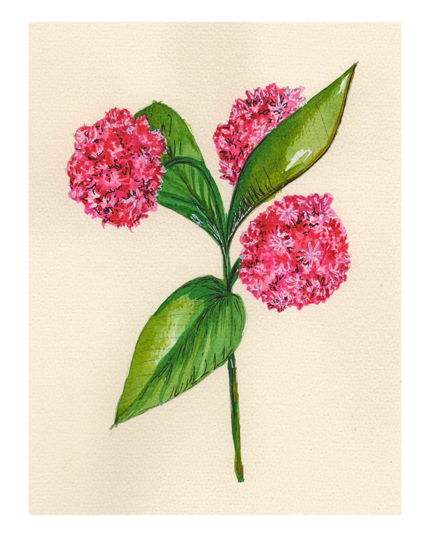 Watercolor Print Wildflower