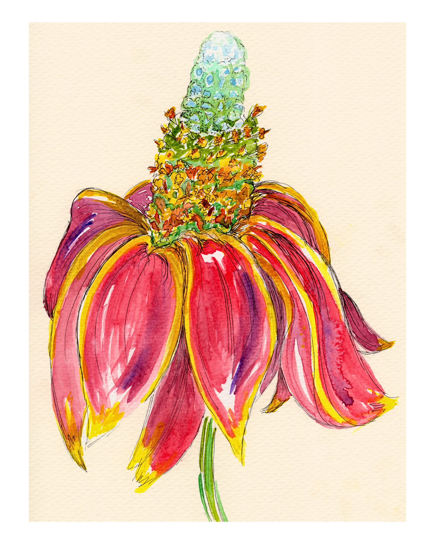 Watercolor Print Wildflower