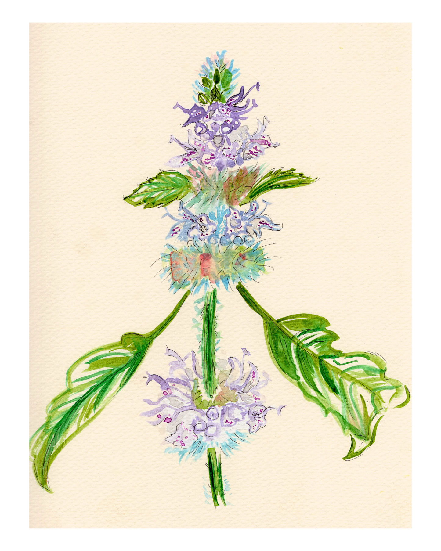 Watercolor Print Wildflower