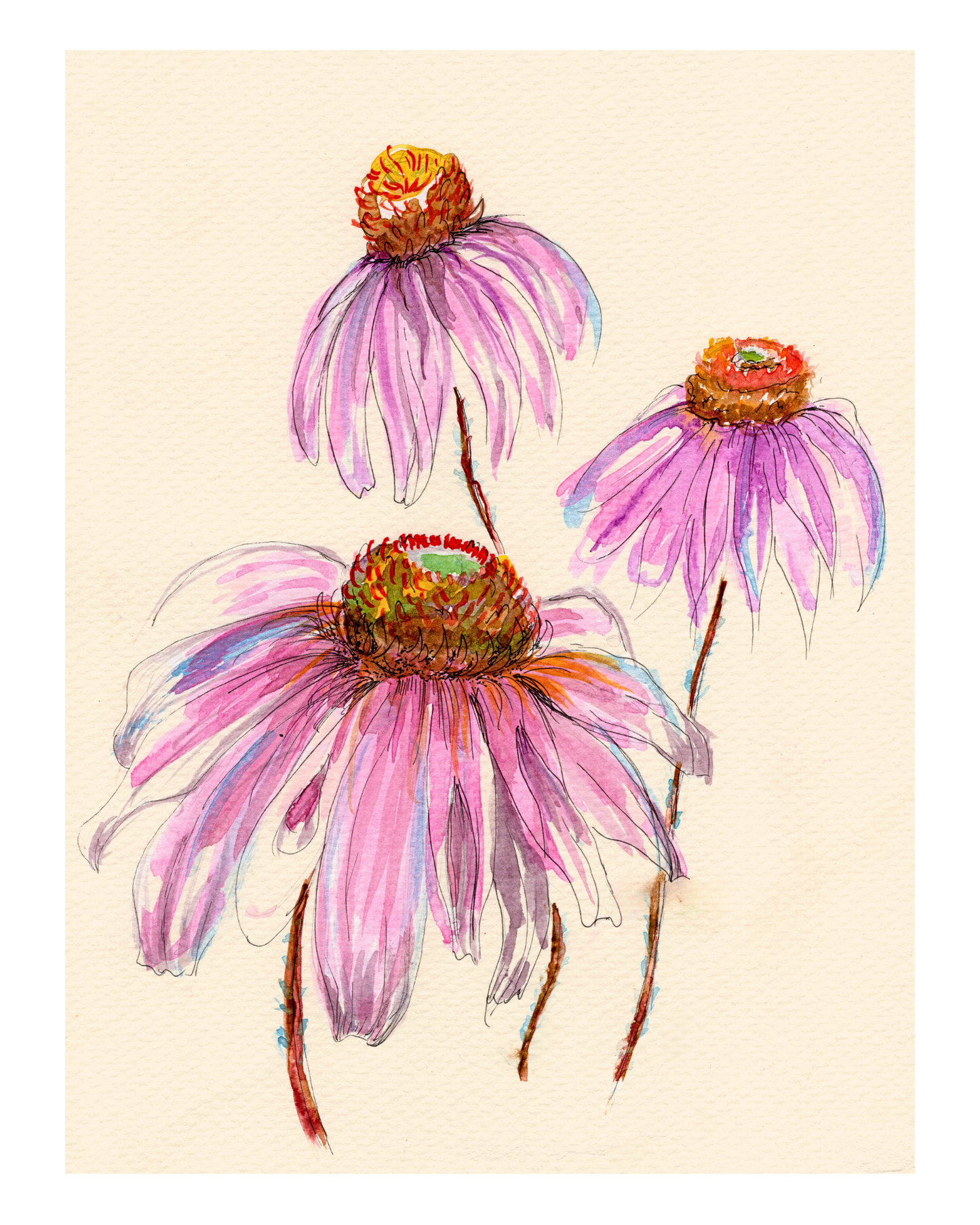 Watercolor Print Wildflower