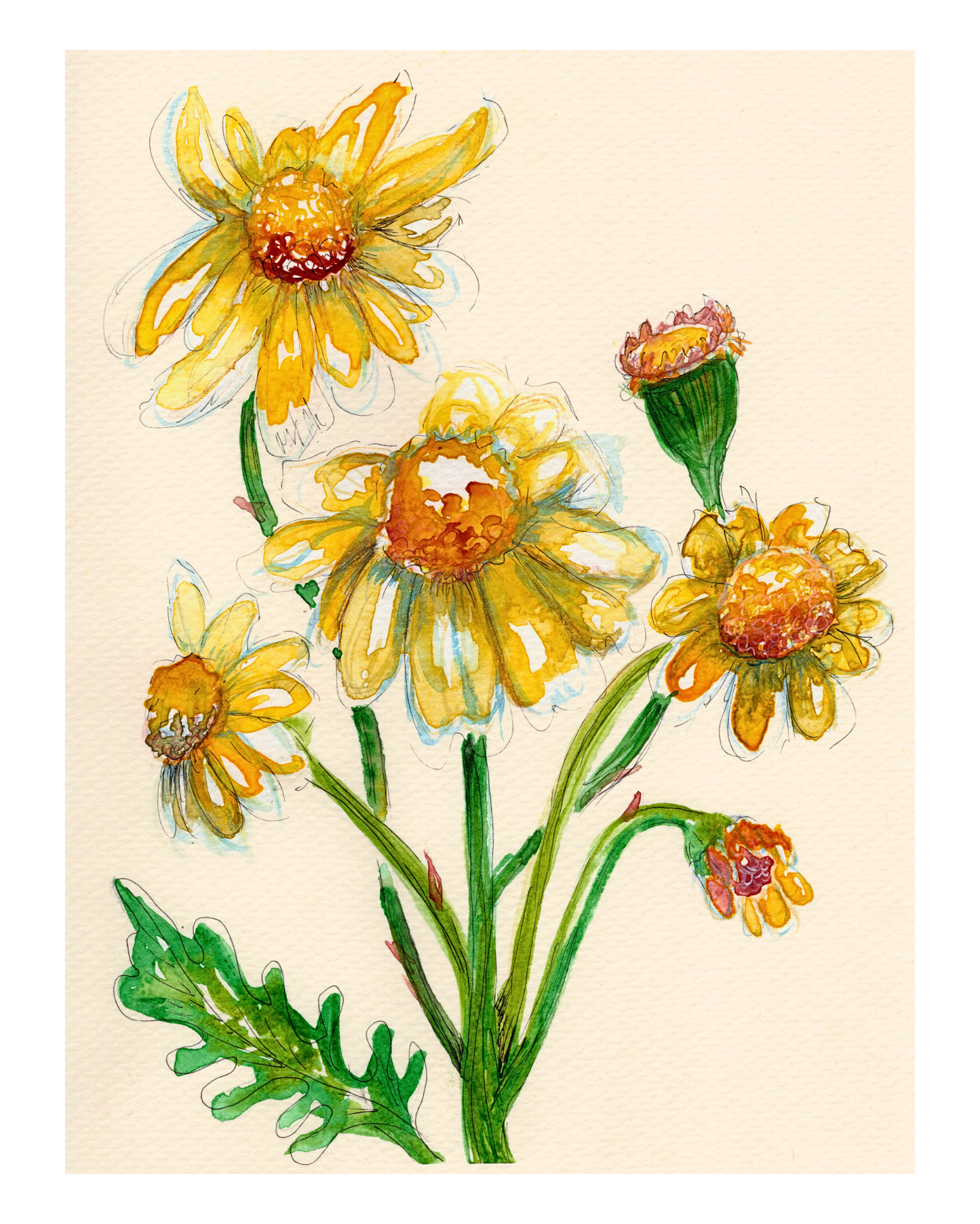 Watercolor Print Wildflower