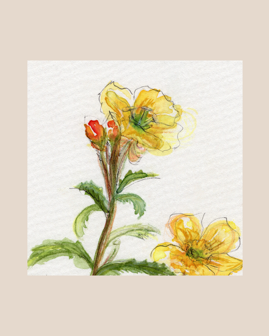 Watercolor Print Wildflower