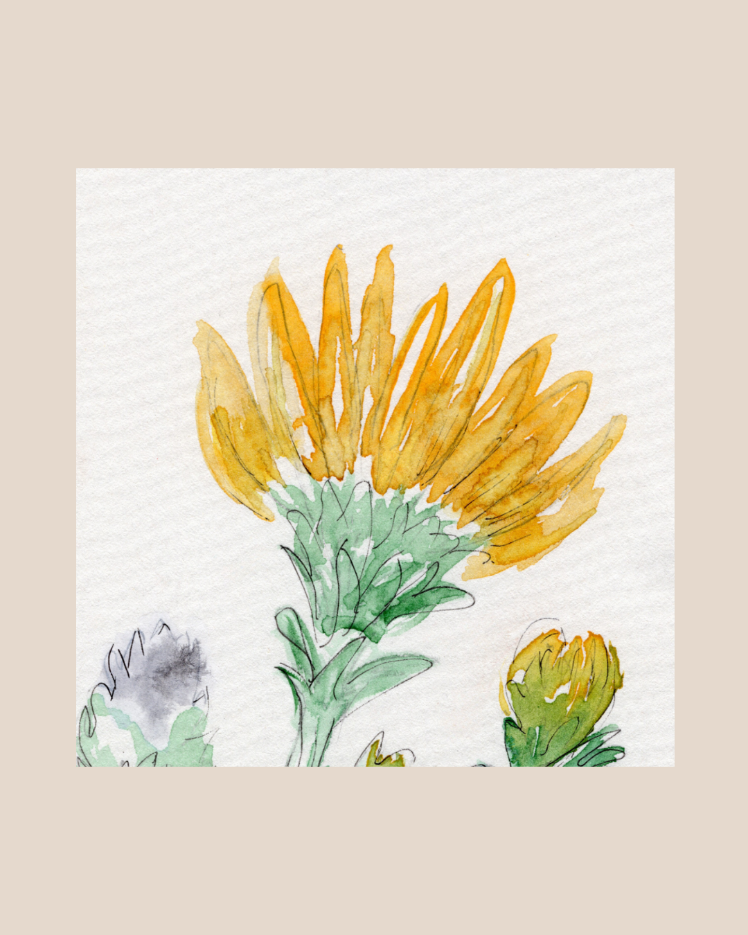 Watercolor Print Wildflower