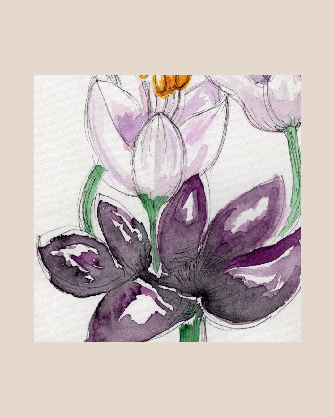 Watercolor Print Wildflower