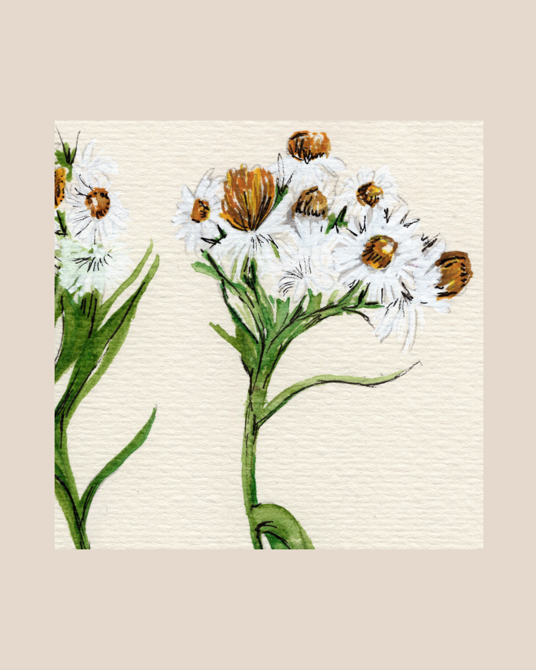 Watercolor Print Wildflower