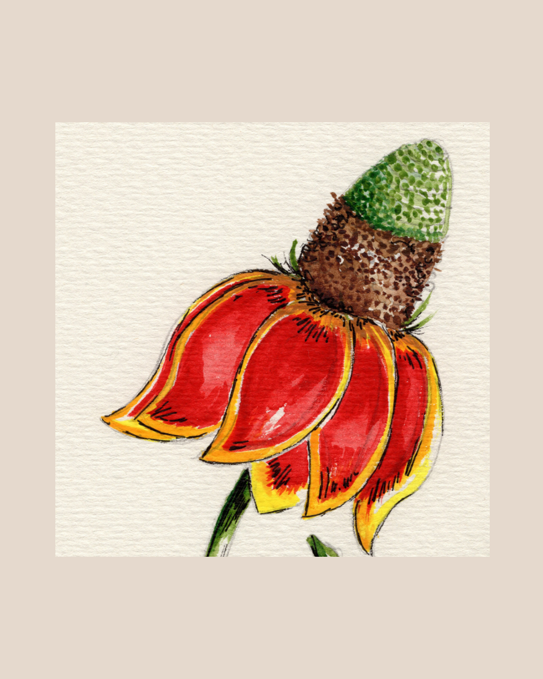 Watercolor Print Wildflower