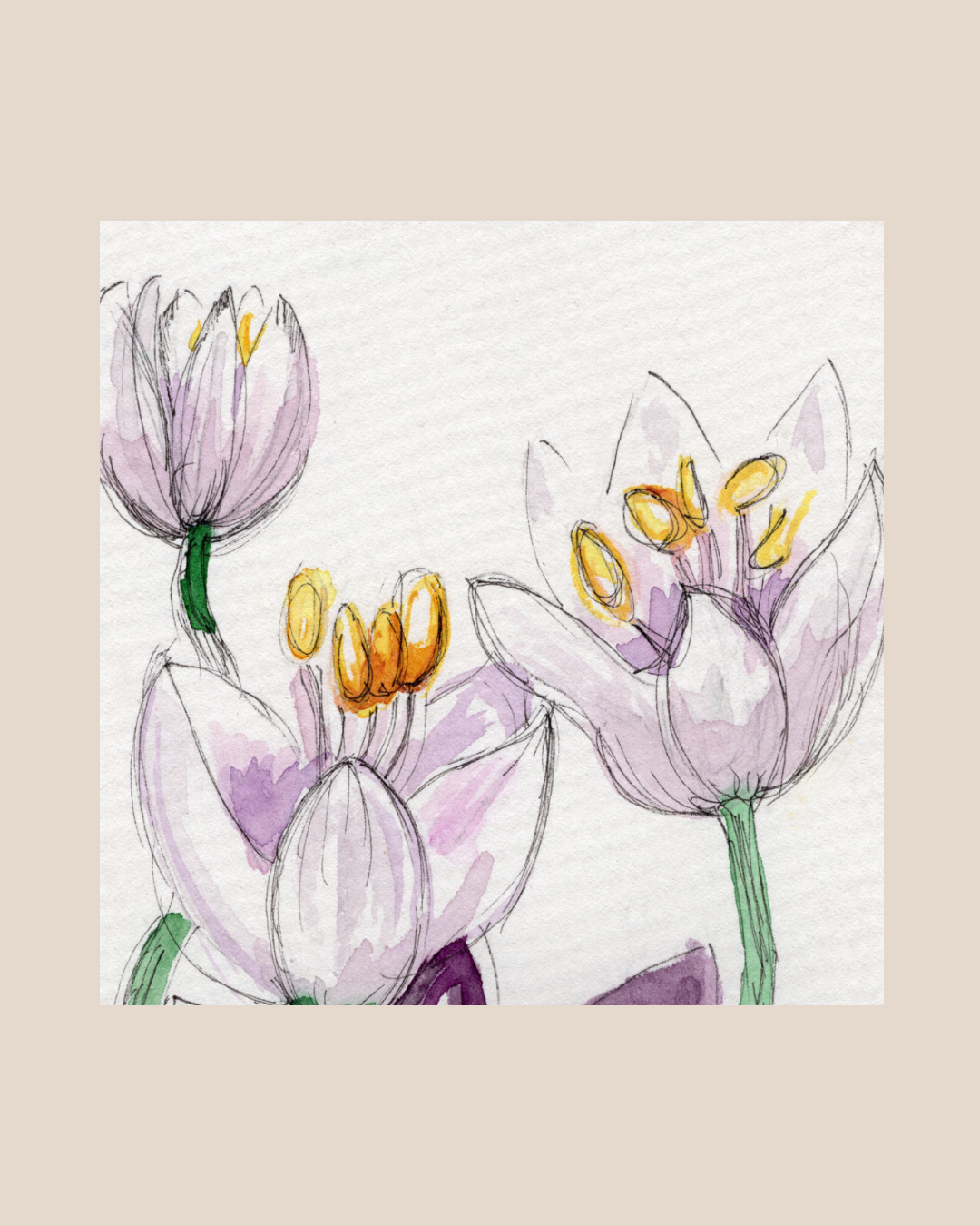 Watercolor Print Wildflower