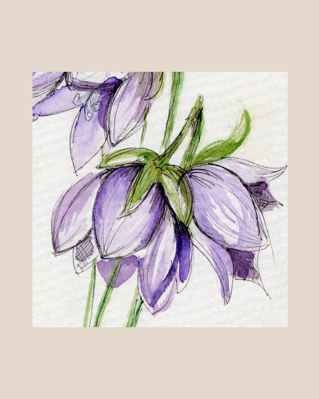 Watercolor Print Wildflower