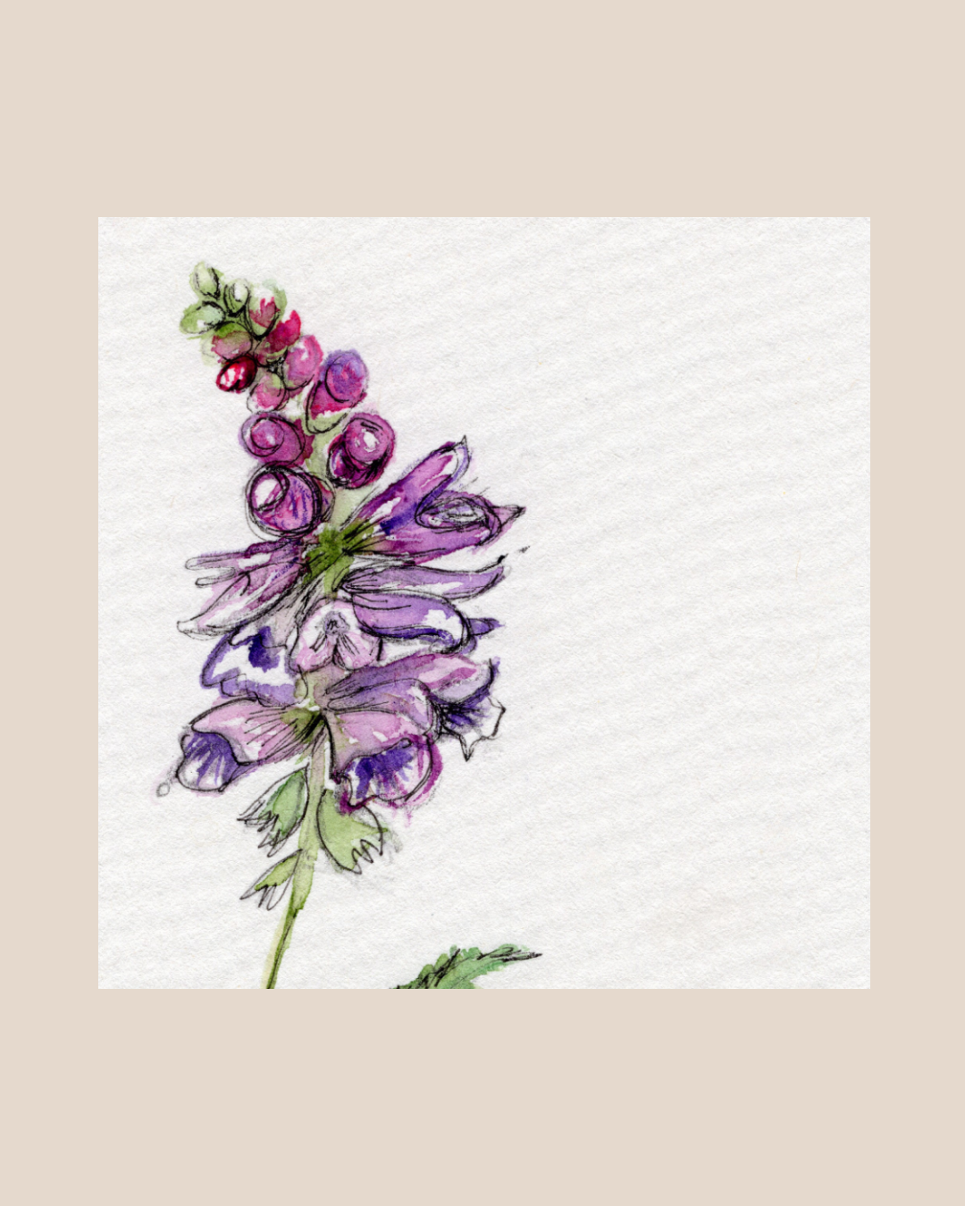 Watercolor Print Wildflower
