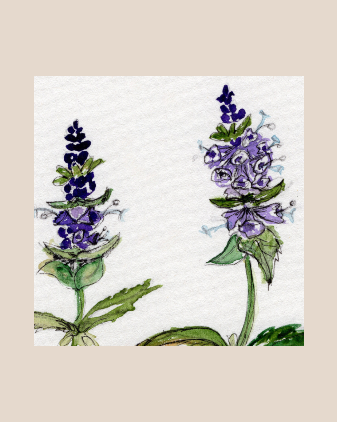 Watercolor Print Wildflower