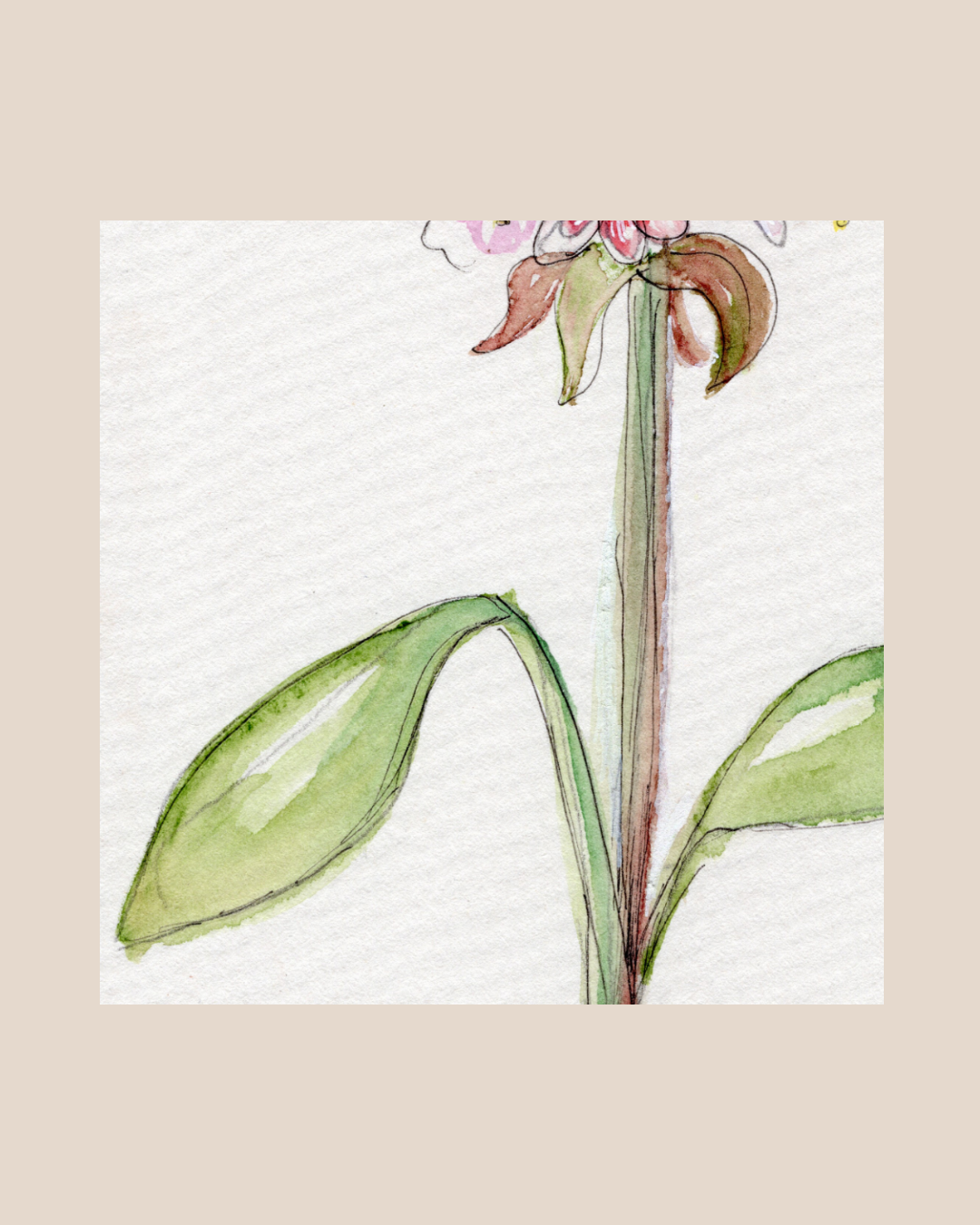 Watercolor Print Wildflower