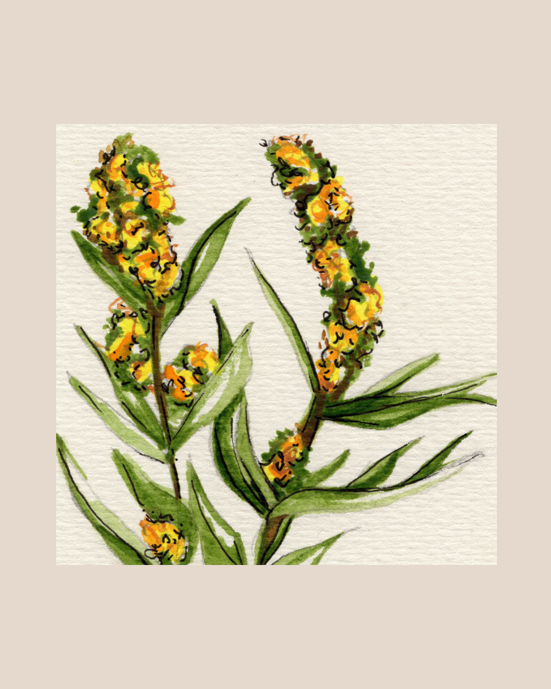 Watercolor Print Wildflower