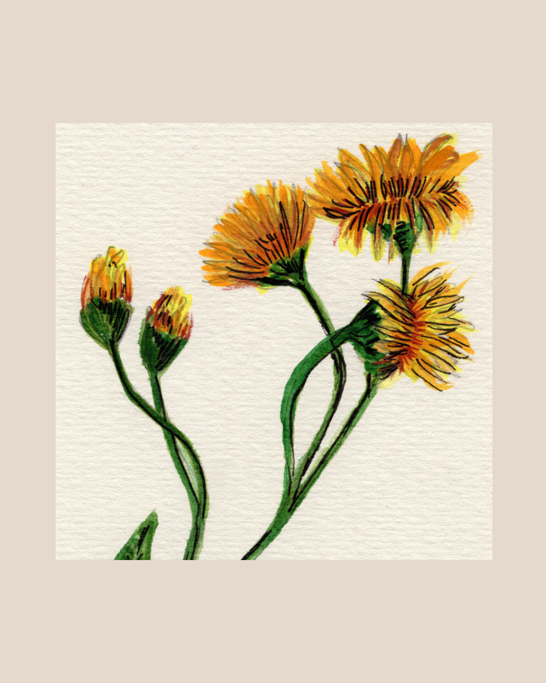 Watercolor Print Wildflower