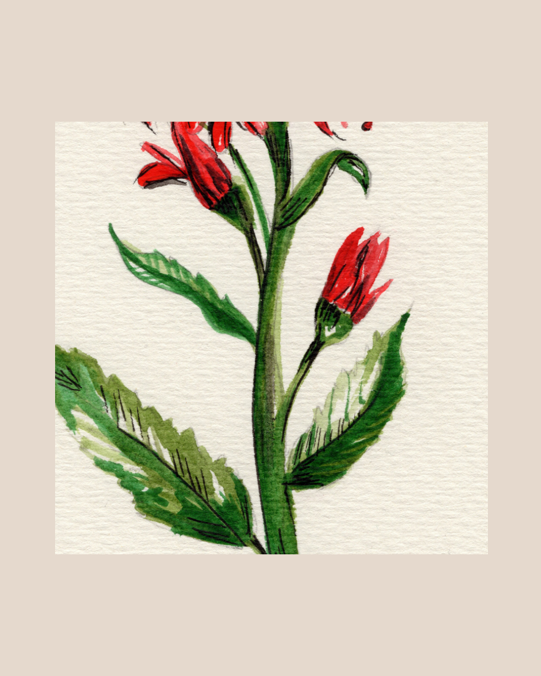 Watercolor Print Wildflower